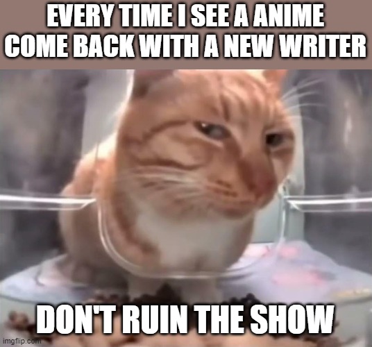 Don't | EVERY TIME I SEE A ANIME COME BACK WITH A NEW WRITER; DON'T RUIN THE SHOW | image tagged in suspicious cat | made w/ Imgflip meme maker