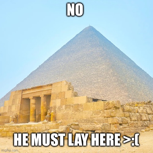 NO HE MUST LAY HERE >:( | made w/ Imgflip meme maker