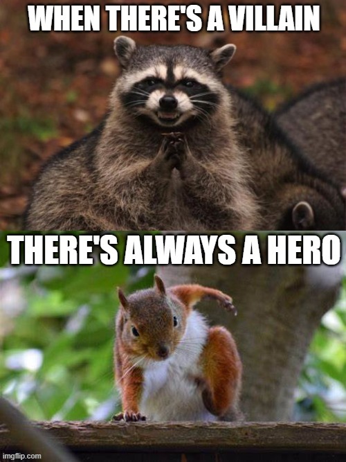 Apparently squirrels do superhero poses when they land. | image tagged in evil plotting raccoon,racoon,squirrel,villain,hero,landing | made w/ Imgflip meme maker