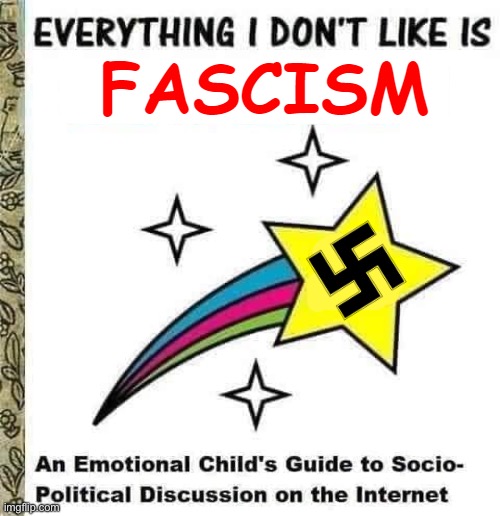 Everything i Don't Like is Fascism | image tagged in everything i don't like is fascism | made w/ Imgflip meme maker