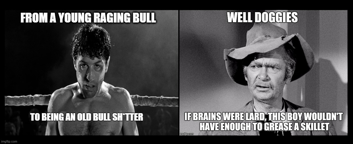 FROM A YOUNG RAGING BULL; TO BEING AN OLD BULL SH*TTER | made w/ Imgflip meme maker