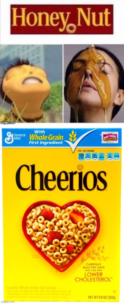 Beekake | image tagged in cheerios box,honey,nut,bees | made w/ Imgflip meme maker