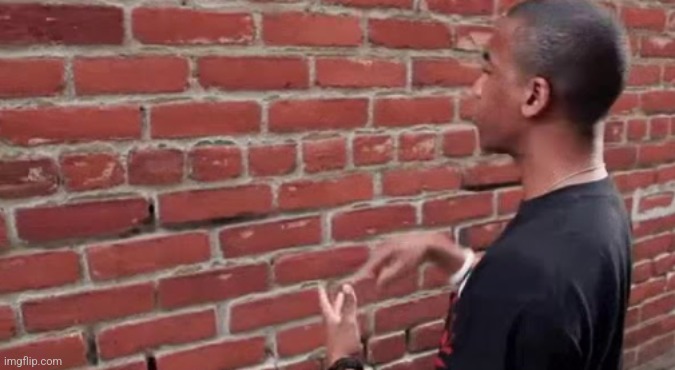 man talking to brick wall | image tagged in man talking to brick wall | made w/ Imgflip meme maker