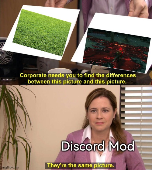 The Grass looks really deadly... for Discord Mod. | Discord Mod | image tagged in they are the same picture,memes,discord mod,grass | made w/ Imgflip meme maker