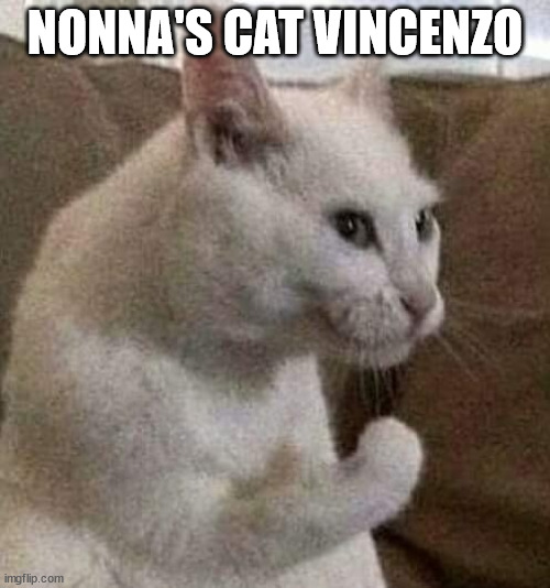 Nonna Meme | NONNA'S CAT VINCENZO | image tagged in italian cat,italian nonna meme,nonna,nonnas,nonna memes,italian meme | made w/ Imgflip meme maker
