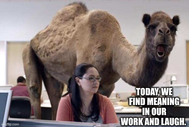 Philosophy office camel | TODAY, WE FIND MEANING IN OUR WORK AND LAUGH. | image tagged in camel,philosophy,hump day,laughter,memes,work life | made w/ Imgflip meme maker