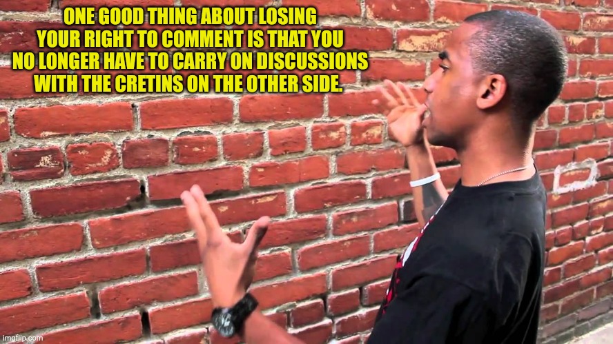 Talking to a wall | ONE GOOD THING ABOUT LOSING YOUR RIGHT TO COMMENT IS THAT YOU NO LONGER HAVE TO CARRY ON DISCUSSIONS WITH THE CRETINS ON THE OTHER SIDE. | image tagged in talking to wall | made w/ Imgflip meme maker