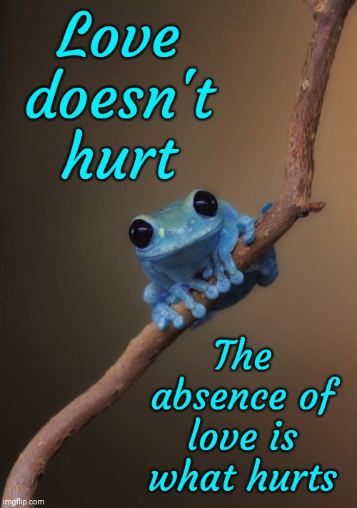 Love Does Not Hurt | Love doesn't hurt; The absence of love is what hurts | image tagged in small fact frog,love,love hurts,love does not hurt,love is love,memes | made w/ Imgflip meme maker
