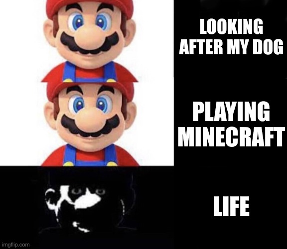 So true | LOOKING AFTER MY DOG; PLAYING MINECRAFT; LIFE | image tagged in mario dark three panel | made w/ Imgflip meme maker