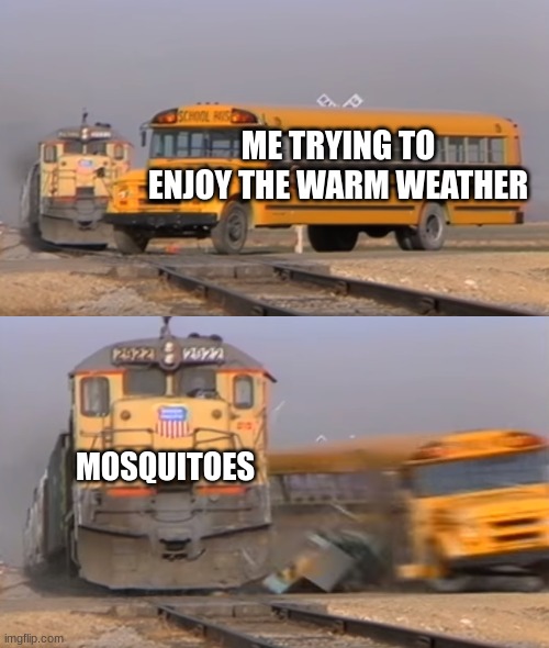 free epic Ostkaka | ME TRYING TO ENJOY THE WARM WEATHER; MOSQUITOES | image tagged in a train hitting a school bus | made w/ Imgflip meme maker