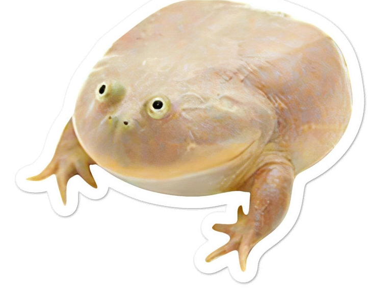 High Quality Wednesday frog Blank Meme Template