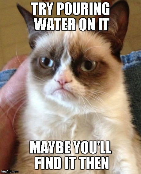 Grumpy Cat Meme | TRY POURING WATER ON IT MAYBE YOU'LL FIND IT THEN | image tagged in memes,grumpy cat | made w/ Imgflip meme maker