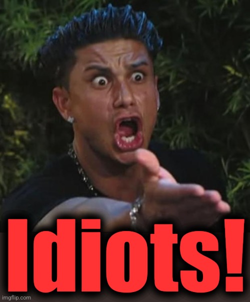 DJ Pauly D Meme | Idiots! | image tagged in memes,dj pauly d | made w/ Imgflip meme maker