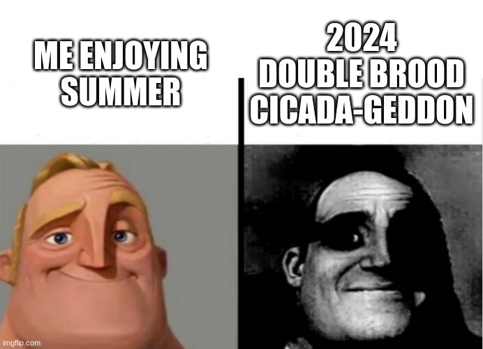 I'll explain in the comments | 2024 DOUBLE BROOD CICADA-GEDDON; ME ENJOYING SUMMER | image tagged in teacher's copy | made w/ Imgflip meme maker