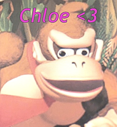 Chloe announcement temp Blank Meme Template