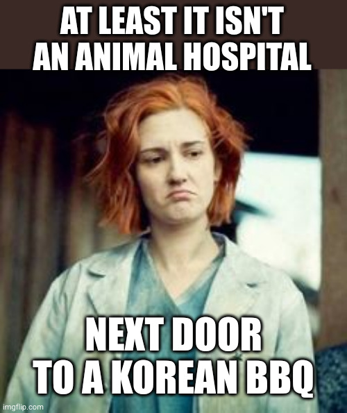 Nicole Haught "it could be worse" | AT LEAST IT ISN'T AN ANIMAL HOSPITAL NEXT DOOR TO A KOREAN BBQ | image tagged in nicole haught it could be worse | made w/ Imgflip meme maker