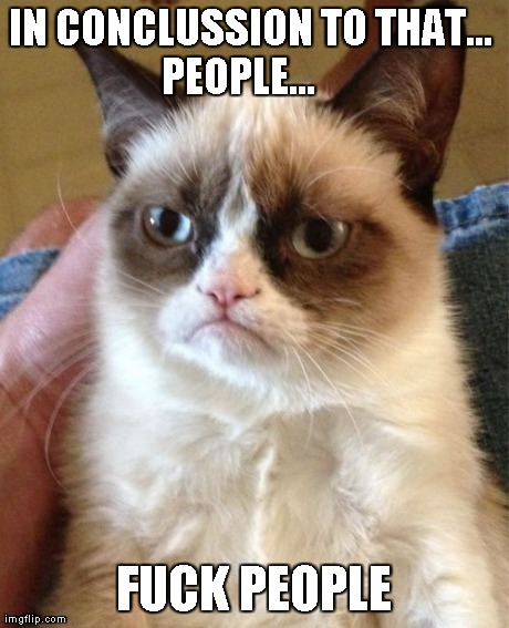 Grumpy Cat Meme | IN CONCLUSSION TO THAT...          PEOPLE...                                                  F**K PEOPLE | image tagged in memes,grumpy cat | made w/ Imgflip meme maker