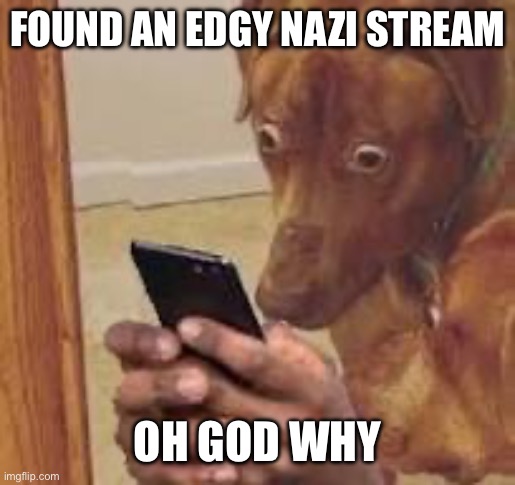 oh no | FOUND AN EDGY NAZI STREAM; OH GOD WHY | image tagged in oh no | made w/ Imgflip meme maker