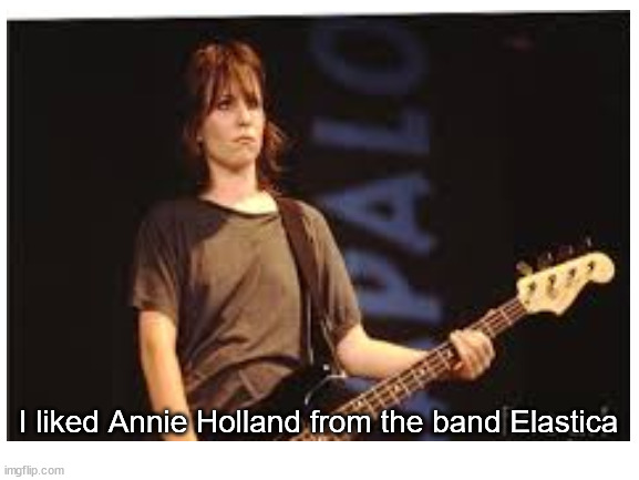 I liked Annie Holland from the band Elastica | image tagged in blank white template | made w/ Imgflip meme maker