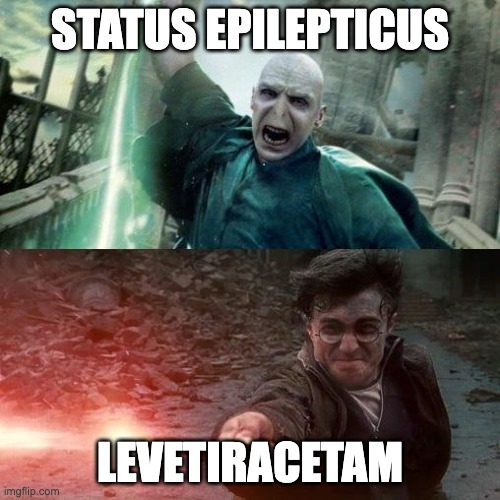 Status Epilepticus Levetiracetam | STATUS EPILEPTICUS; LEVETIRACETAM | image tagged in harry potter meme | made w/ Imgflip meme maker