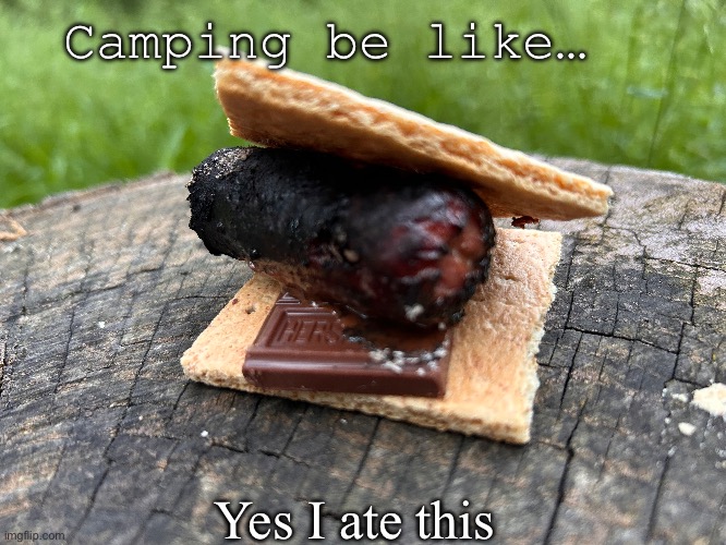 I ate this | Camping be like…; Yes I ate this | image tagged in msmg | made w/ Imgflip meme maker