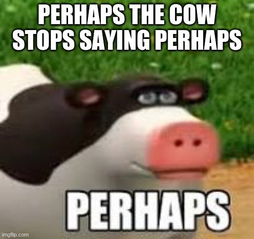 perhaps | PERHAPS THE COW STOPS SAYING PERHAPS | image tagged in perhaps cow,cow,perhaps,farm,funny,cool | made w/ Imgflip meme maker