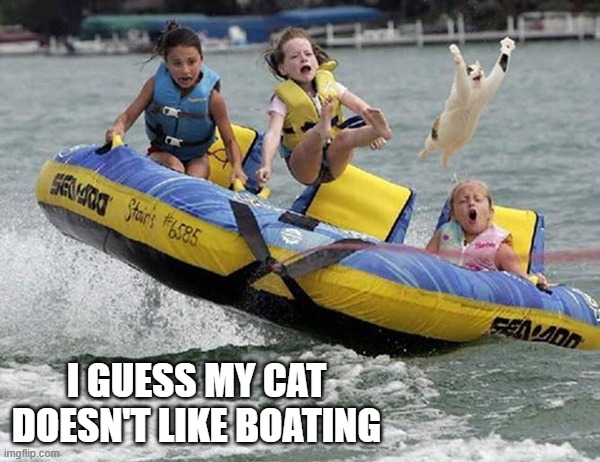 memes by Brad - my cat doesn't like boating - humor | I GUESS MY CAT DOESN'T LIKE BOATING | image tagged in funny,cats,funny cat,kittens,boat,water | made w/ Imgflip meme maker