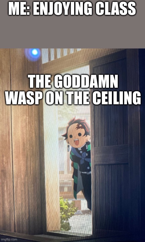 I have a severe phobia | ME: ENJOYING CLASS; THE GODDAMN WASP ON THE CEILING | image tagged in why are you reading this | made w/ Imgflip meme maker