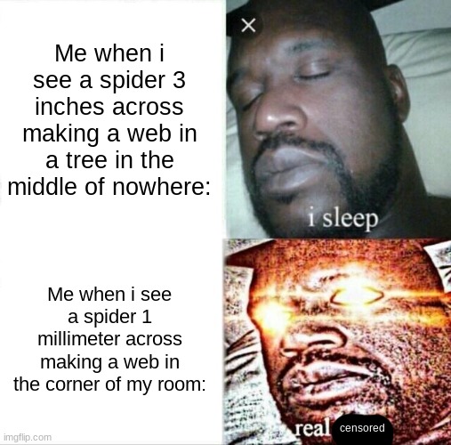 me when spider | Me when i see a spider 3 inches across making a web in a tree in the middle of nowhere:; Me when i see a spider 1 millimeter across making a web in the corner of my room:; censored | image tagged in memes,sleeping shaq,spider,spiders,arachnophobia,oh wow are you actually reading these tags | made w/ Imgflip meme maker