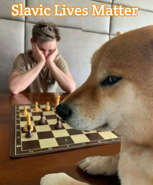 Chess doge | Slavic Lives Matter | image tagged in chess doge,slavic | made w/ Imgflip meme maker