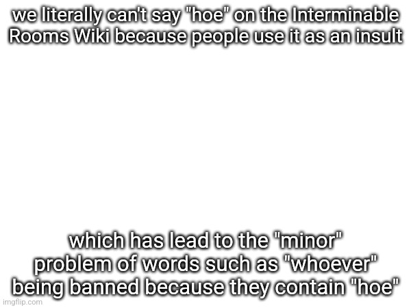 we literally can't say "hoe" on the Interminable Rooms Wiki because people use it as an insult; which has lead to the "minor" problem of words such as "whoever" being banned because they contain "hoe" | made w/ Imgflip meme maker