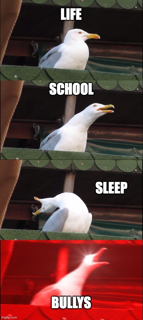 my life | LIFE; SCHOOL; SLEEP; BULLYS | image tagged in memes,inhaling seagull | made w/ Imgflip meme maker