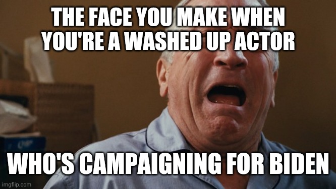 Campainging | THE FACE YOU MAKE WHEN YOU'RE A WASHED UP ACTOR; WHO'S CAMPAIGNING FOR BIDEN | image tagged in crying robert de niro,funny memes | made w/ Imgflip meme maker