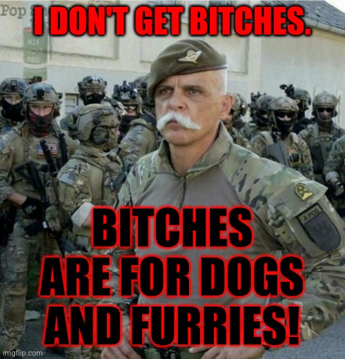 ridiculously handsome army officer | I DON'T GET BITCHES. BITCHES ARE FOR DOGS AND FURRIES! | image tagged in ridiculously handsome army officer,memes,no bitches,dogs,furries | made w/ Imgflip meme maker