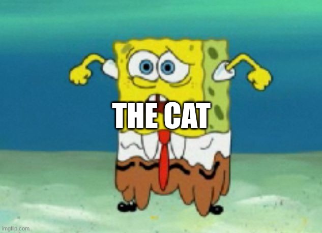 sponge bob shart pants | THE CAT | image tagged in sponge bob shart pants | made w/ Imgflip meme maker