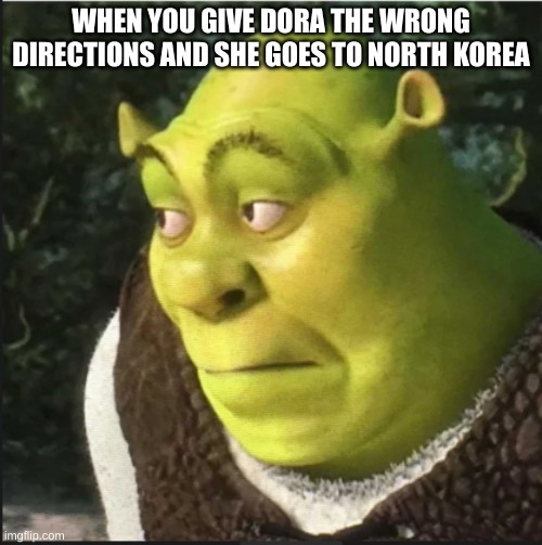 shrek uh oh | WHEN YOU GIVE DORA THE WRONG DIRECTIONS AND SHE GOES TO NORTH KOREA | image tagged in shrek uh oh | made w/ Imgflip meme maker