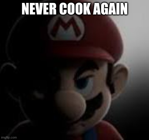 NEVER COOK AGAIN | image tagged in mario dont ever do that again | made w/ Imgflip meme maker