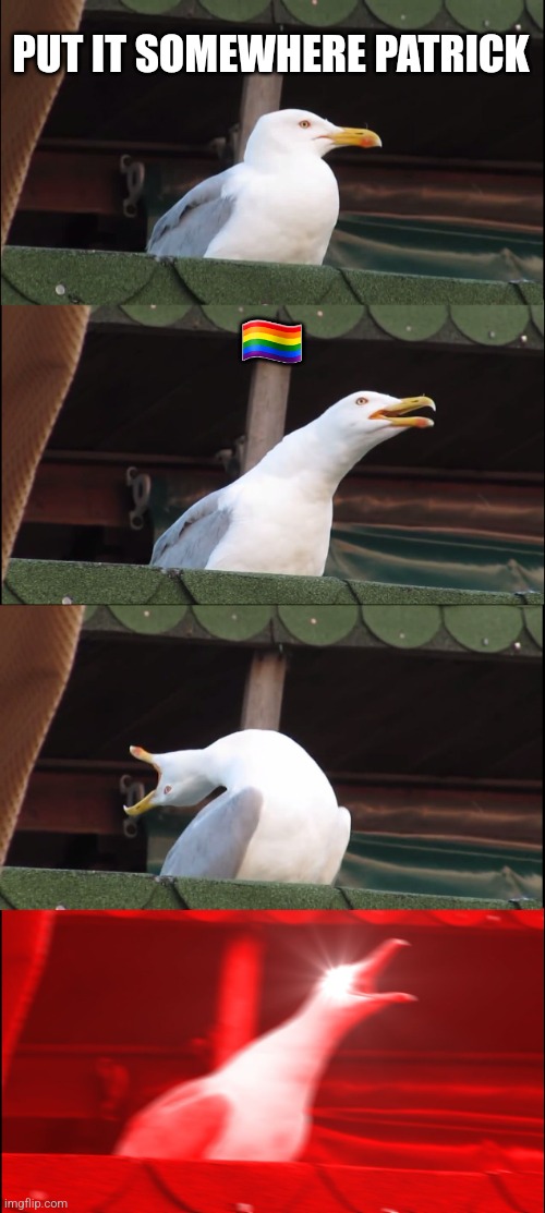 Inhaling Seagull | PUT IT SOMEWHERE PATRICK; 🏳️‍🌈 | image tagged in memes,inhaling seagull | made w/ Imgflip meme maker