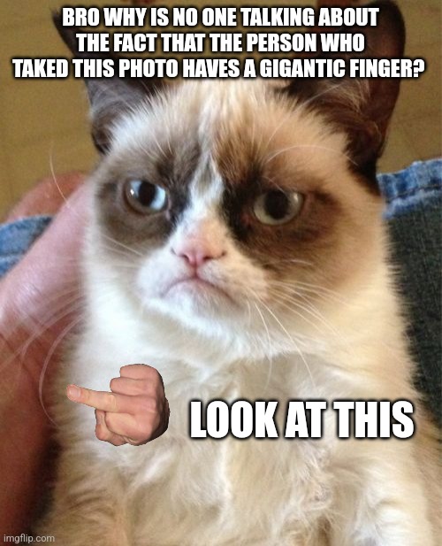 Grumpy Cat Meme | BRO WHY IS NO ONE TALKING ABOUT THE FACT THAT THE PERSON WHO TAKED THIS PHOTO HAVES A GIGANTIC FINGER? I WANNA SUCK FEMBOY NIPPLES SOMEONE PLS HELP ME IM DESPERATE I WANT FEMBOY NIPPLES PLEASE IM MISERABLE; LOOK AT THIS | image tagged in memes,grumpy cat | made w/ Imgflip meme maker