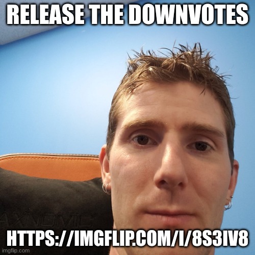 Linus Tech Tips | RELEASE THE DOWNVOTES; HTTPS://IMGFLIP.COM/I/8S3IV8 | image tagged in linus tech tips | made w/ Imgflip meme maker