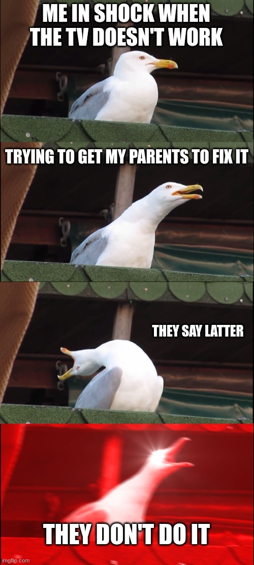 Inhaling Seagull | ME IN SHOCK WHEN THE TV DOESN'T WORK; TRYING TO GET MY PARENTS TO FIX IT; THEY SAY LATTER; THEY DON'T DO IT | image tagged in memes,inhaling seagull | made w/ Imgflip meme maker