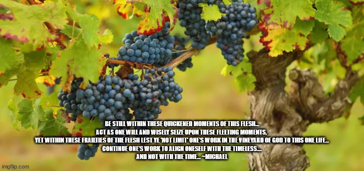 God's vineyard | BE STILL WITHIN THESE QUICKENED MOMENTS OF THIS FLESH...
ACT AS ONE WILL AND WISELY SEIZE UPON THESE FLEETING MOMENTS, 
YET WITHIN THESE FRAILTIES OF THE FLESH LEST YE 'NOT LIMIT' ONE’S WORK IN THE VINEYARD OF GOD TO THIS ONE LIFE...
CONTINUE ONE’S WORK TO ALIGN ONESELF WITH THE TIMELESS....
AND NOT WITH THE TIME... ~MICHAEL | image tagged in god's vineyard | made w/ Imgflip meme maker