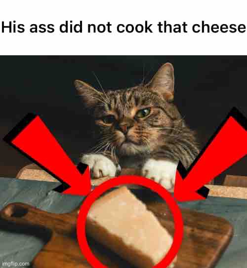 His ass did not cook that cheese | image tagged in cheese | made w/ Imgflip meme maker