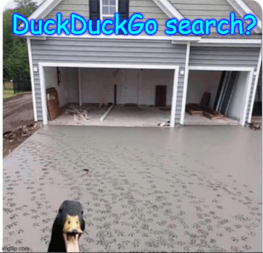 The search is on | DuckDuckGo search? | image tagged in fun,duck duck go,search | made w/ Imgflip meme maker