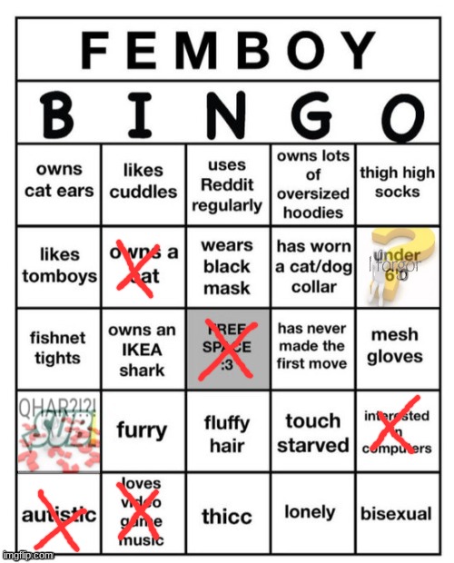 Femboy Bingo | image tagged in femboy bingo | made w/ Imgflip meme maker