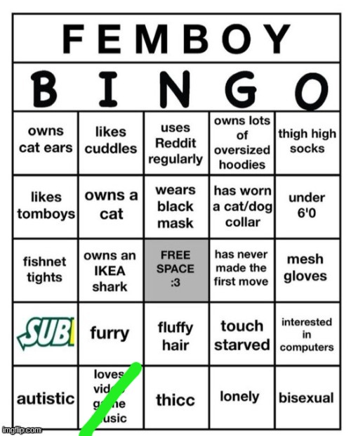 imagine being a femboy | image tagged in femboy bingo | made w/ Imgflip meme maker