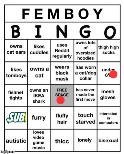 Femboy Bingo | image tagged in femboy bingo | made w/ Imgflip meme maker