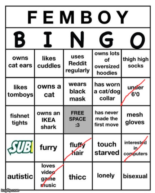 Femboy Bingo | image tagged in femboy bingo | made w/ Imgflip meme maker