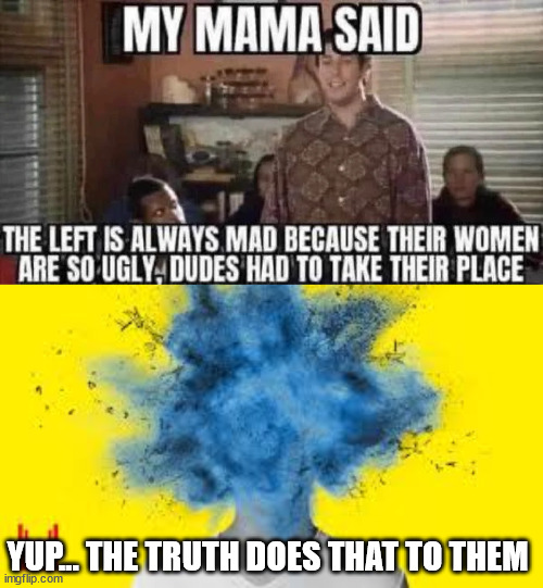 Lefties are always so mad... | YUP... THE TRUTH DOES THAT TO THEM | image tagged in head explodes,the reason why,libs are always so mad | made w/ Imgflip meme maker