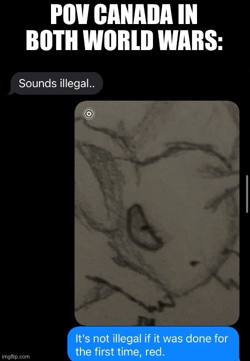 Geneva Convention? Oh I thought you said Geneva suggestion. | POV CANADA IN BOTH WORLD WARS: | image tagged in it s not illegal if it was for the first time | made w/ Imgflip meme maker